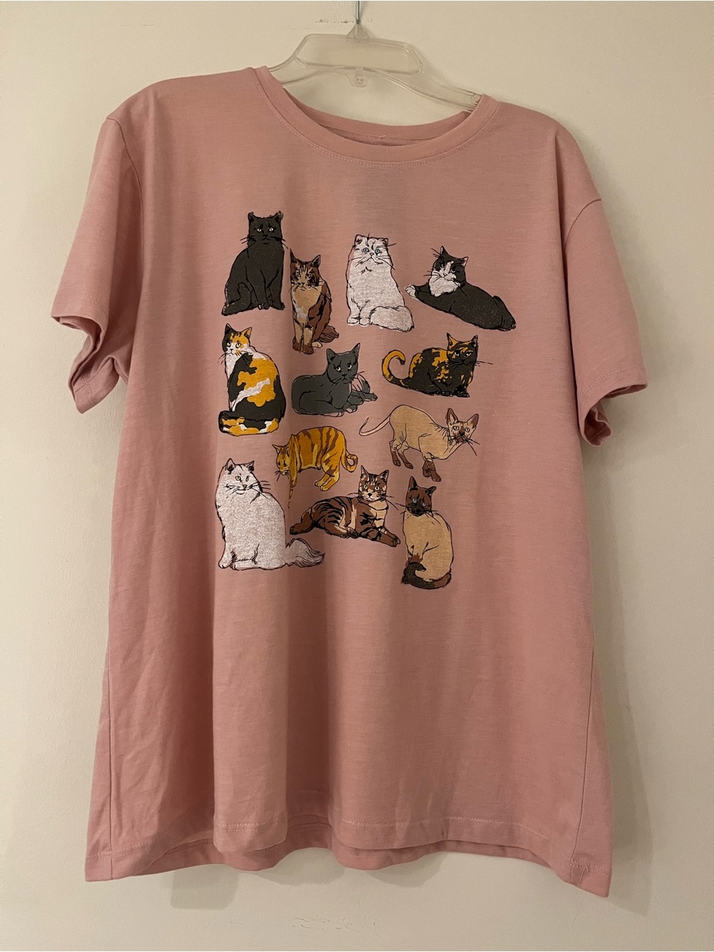 Fifth Sun Dusty Pink Cat Illustration Tee